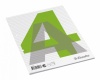Kirjaplokk Esselte A4/100 rebitav jooneline Kirjaplokk Esselte A4/100 rebitav jooneline